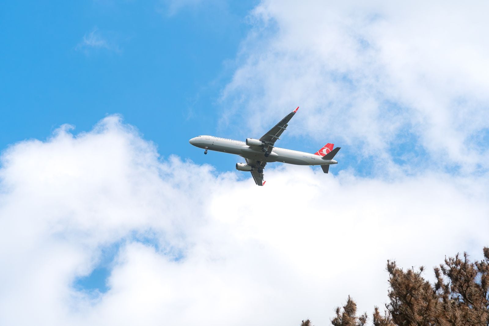 Airfarewatchdog