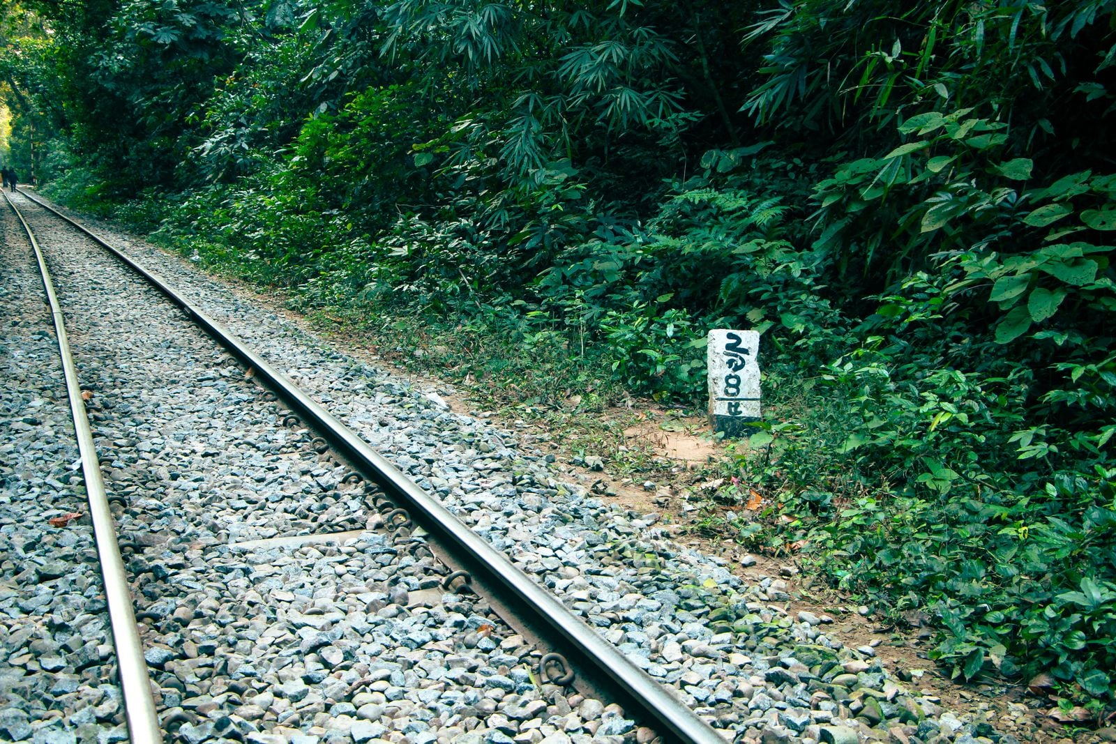 Vacations By Rail